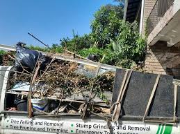 Best Attic Cleanout  in Forest Heights, TX